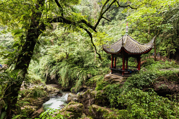 Sichuan_EmeiShan-1.jpg