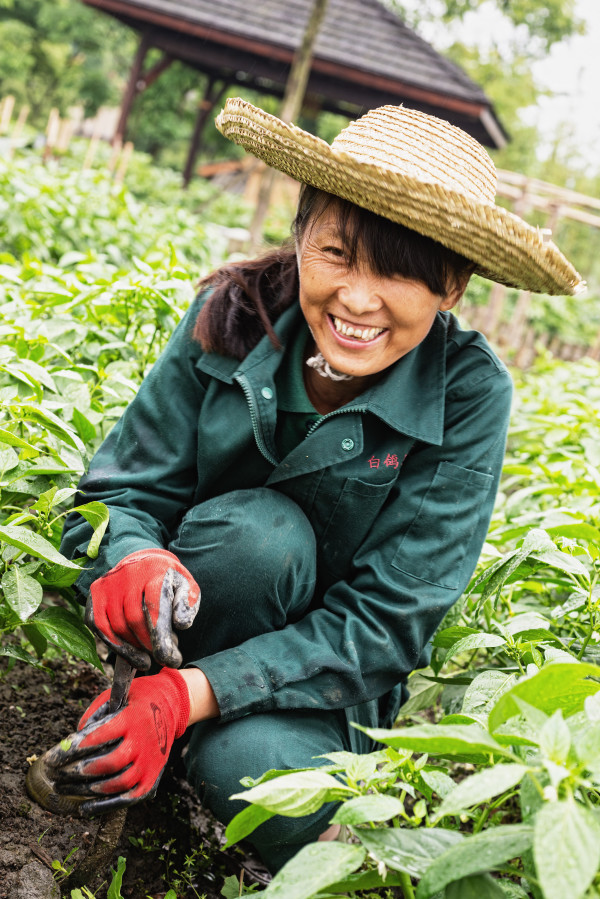 Sichuan_Qingchen_2