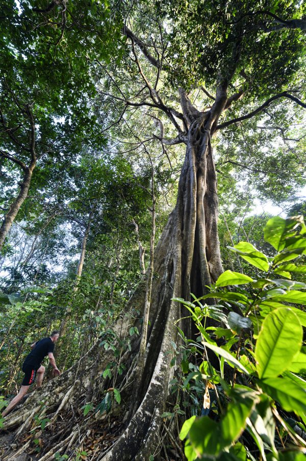 Wa_Ale_Myanmar_Linkel_DSC9784
