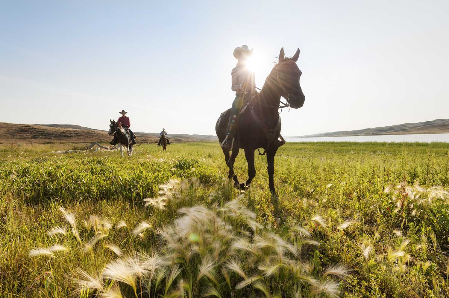 Horseback riding, La Reata Ranch