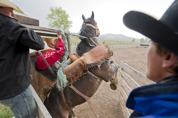Montana Dude Ranch